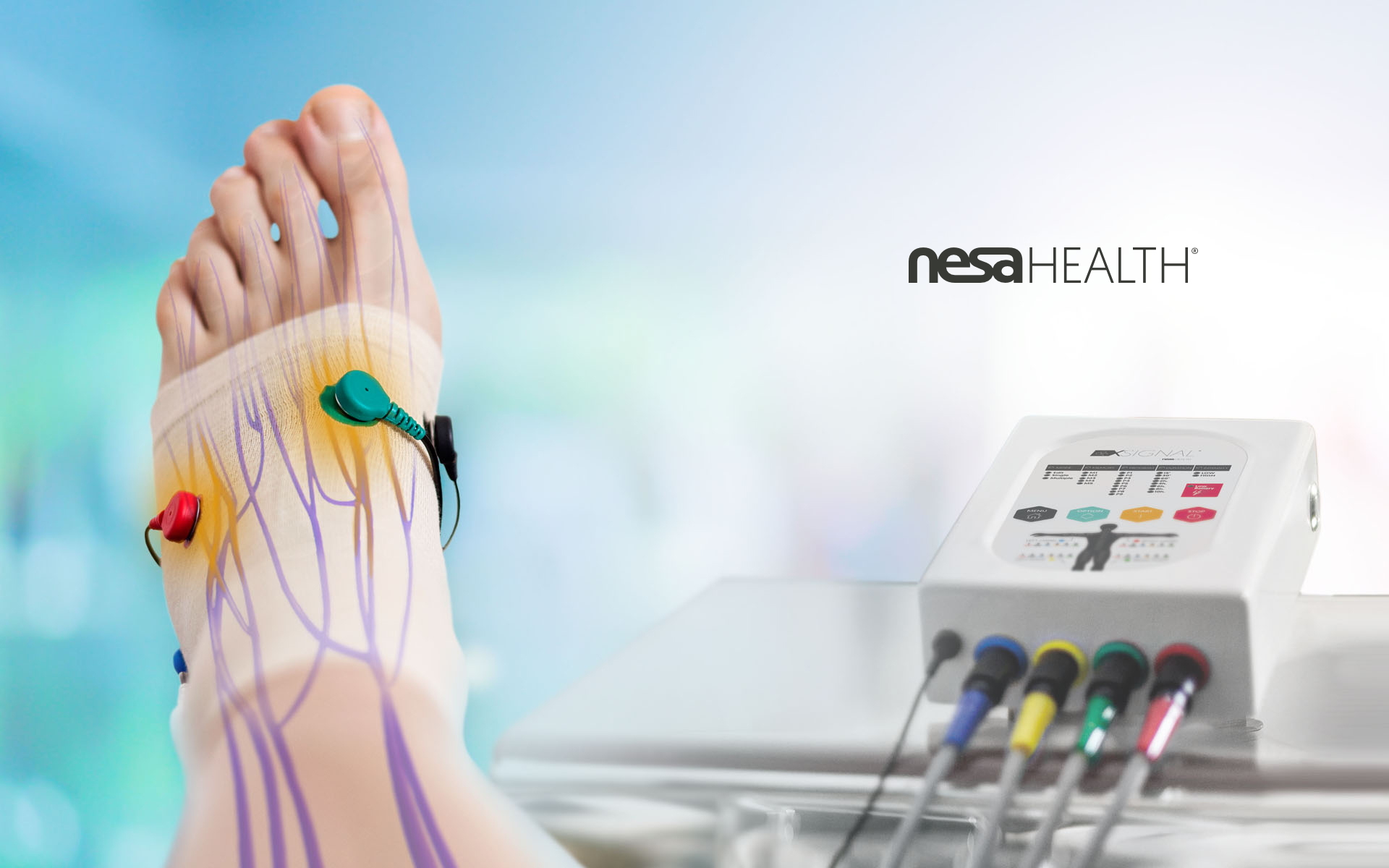 nesa-xsignal en clinicadanireig.com